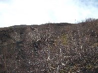 rra delle Concazze-20100425 015